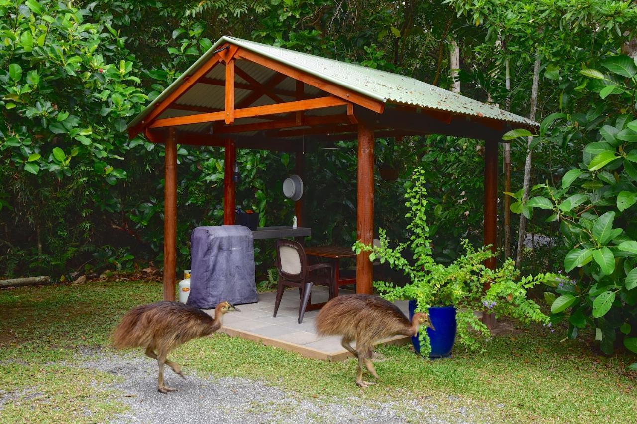 Thornton Beach Bungalows Daintree Cape Tribulation Exteriör bild