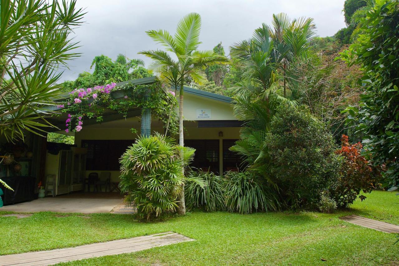 Thornton Beach Bungalows Daintree Cape Tribulation Exteriör bild