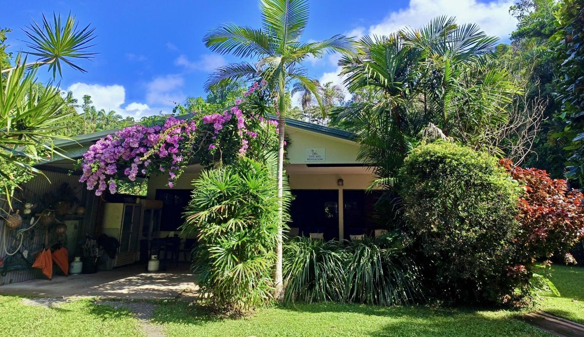 Thornton Beach Bungalows Daintree Cape Tribulation Exteriör bild