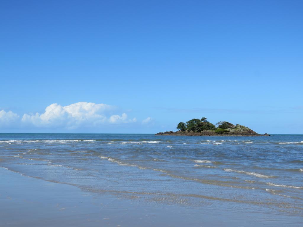 Thornton Beach Bungalows Daintree Cape Tribulation Exteriör bild