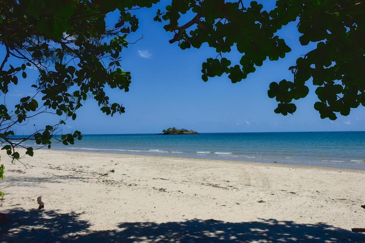 Thornton Beach Bungalows Daintree Cape Tribulation Exteriör bild